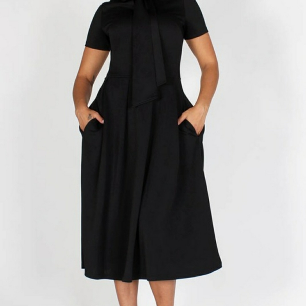 Womens Fit and Flare Dress